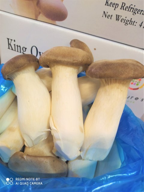 BOCZNIAK MIKOŁAJKOWY - KRÓLEWSKI - ŚWIEŻY - 4 kg