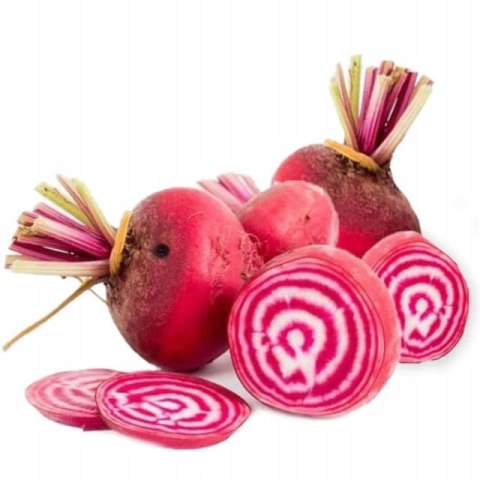 BURAK CHIOGGIA ŚWIEŻY 1 kg - Holandia