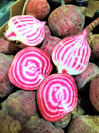 BURAK CHIOGGIA ŚWIEŻY 1 kg - Holandia