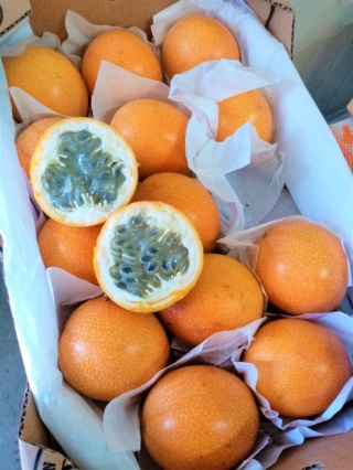 Granadilla świeża 500g , passiflora, męczennica języczkowata