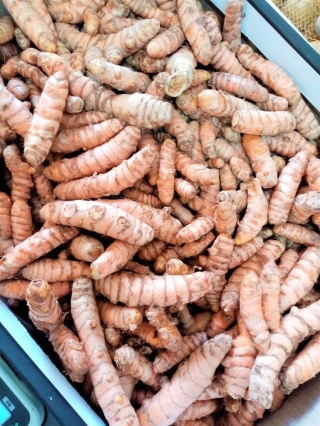 KURKUMA ŚWIEŻA korzeń - 250g , kraj - Peru