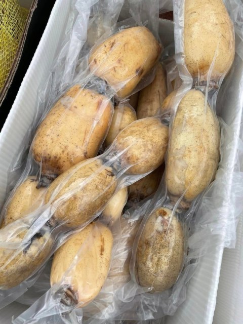 Lotus Root, świeży korzeń Lotosu 10kg- wszechstronny w kuchni