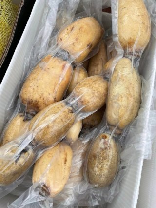Lotus Root, świeży korzeń Lotosu 1kg- wszechstronny w kuchni