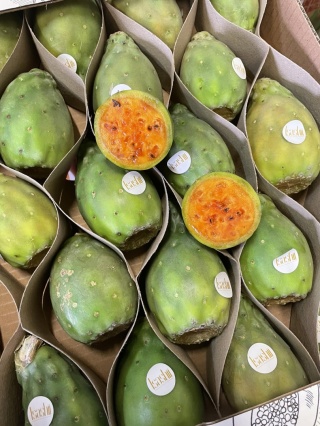 OPUNCJA FIGOWA ŚWIEŻA 1kg , OWOC KAKTUSA - Meksyk
