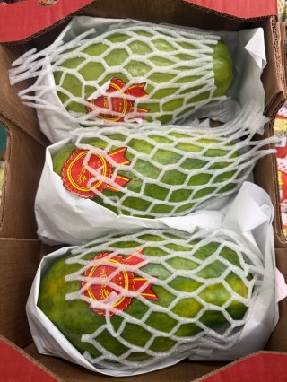 PAPAJA, PAPAYA Formosa duża 1 sztuka waga od 1kg- do 1,30kg