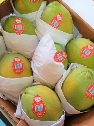 PAPAJA , PAPAYA, ŚWIEŻA owoc karton- 9 sztuk