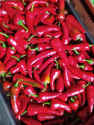 PAPRYKA CHILLI red PEPPERONI ŚWIEŻA Ostra 1kg