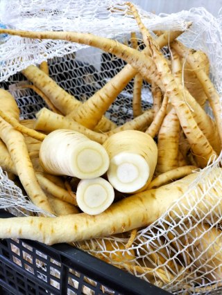 Pasternak świeży 1 kg od rolnika - PYSZNY i POLSKI
