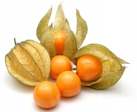 Physalis , miechunka świeża 100g - paczka