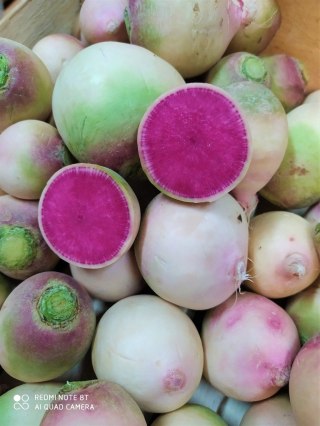 Rzodkiew arbuzowa świeża - ShinRi-Mei" „piękno w sercu" 1kg-