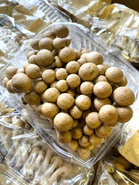 SHIMEJI brązowe świeże grzyby 20 opak po 150g - cały karton