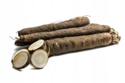 SKORZONERA świeża 1 kg - PYSZNA jak szparagi