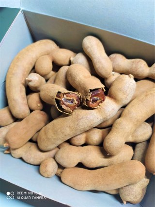 SŁODKI TAMARYNDOWIEC 450g - desery, sosy, cukierki