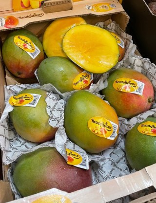 ŚWIEŻE MANGO " EAT ME" RTE owoc- 1 sztuka