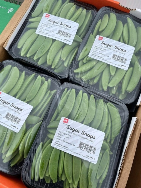 Sugar Snaps, Groszek cukrowy 250g (paczka)- pyszny smażony do wielu dań