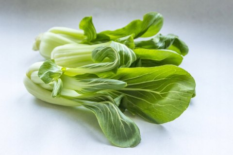 Świeża kapusta Pak Choi 500g - super chrupka !!!