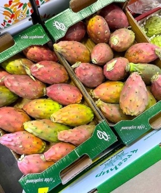 Świeża opuncja figowa 500g , owoc kaktusa - kraj Meksyk
