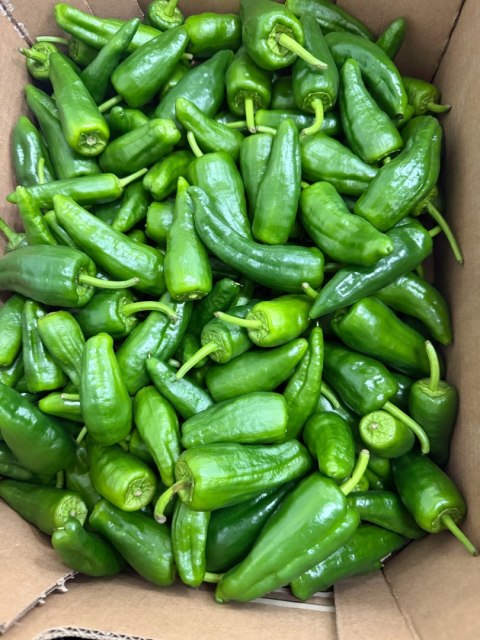 Świeża papryka PADRON 1 kg- Hiszpania