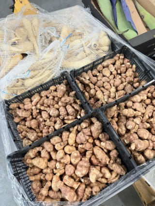 Świeży topinambur bulwy 5 kg - kraj Polska